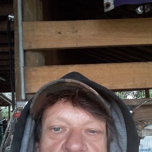 Meet your Posher, Norman